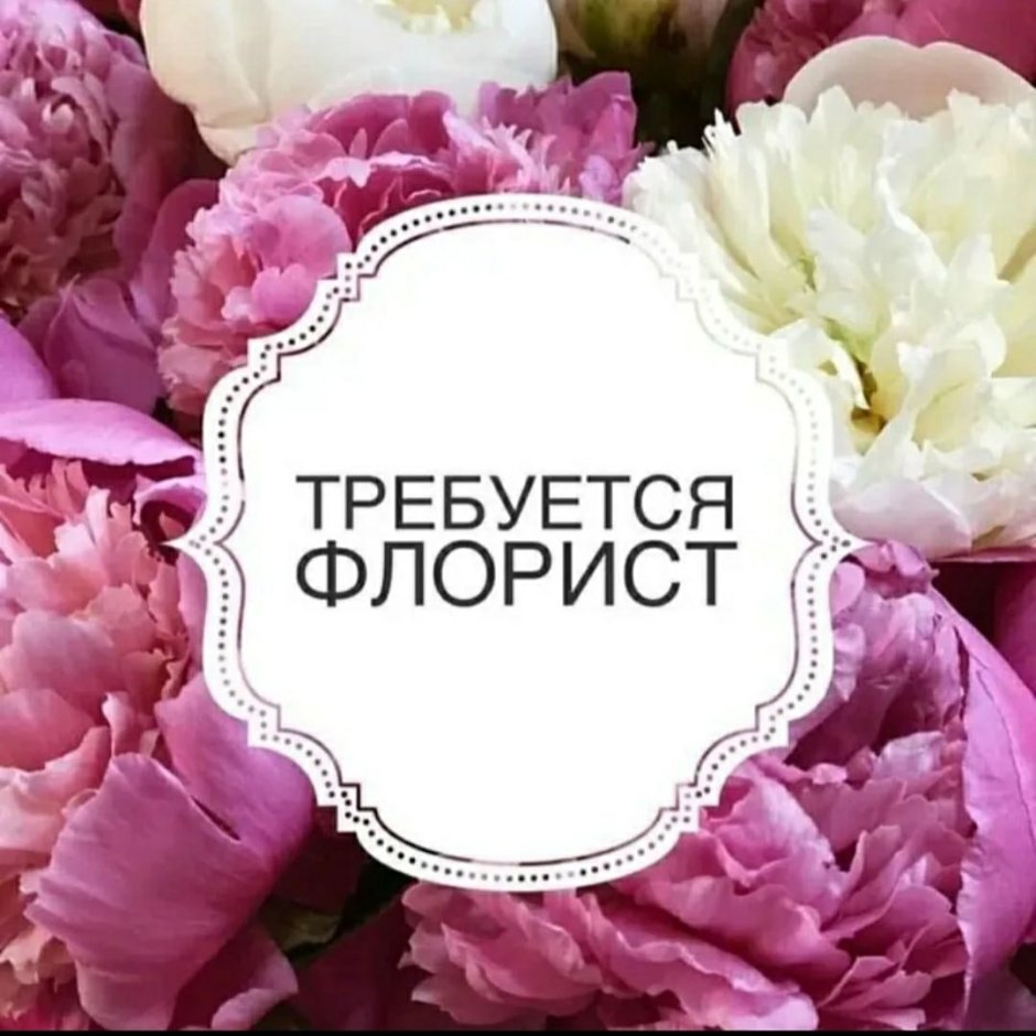 Ищем флориста