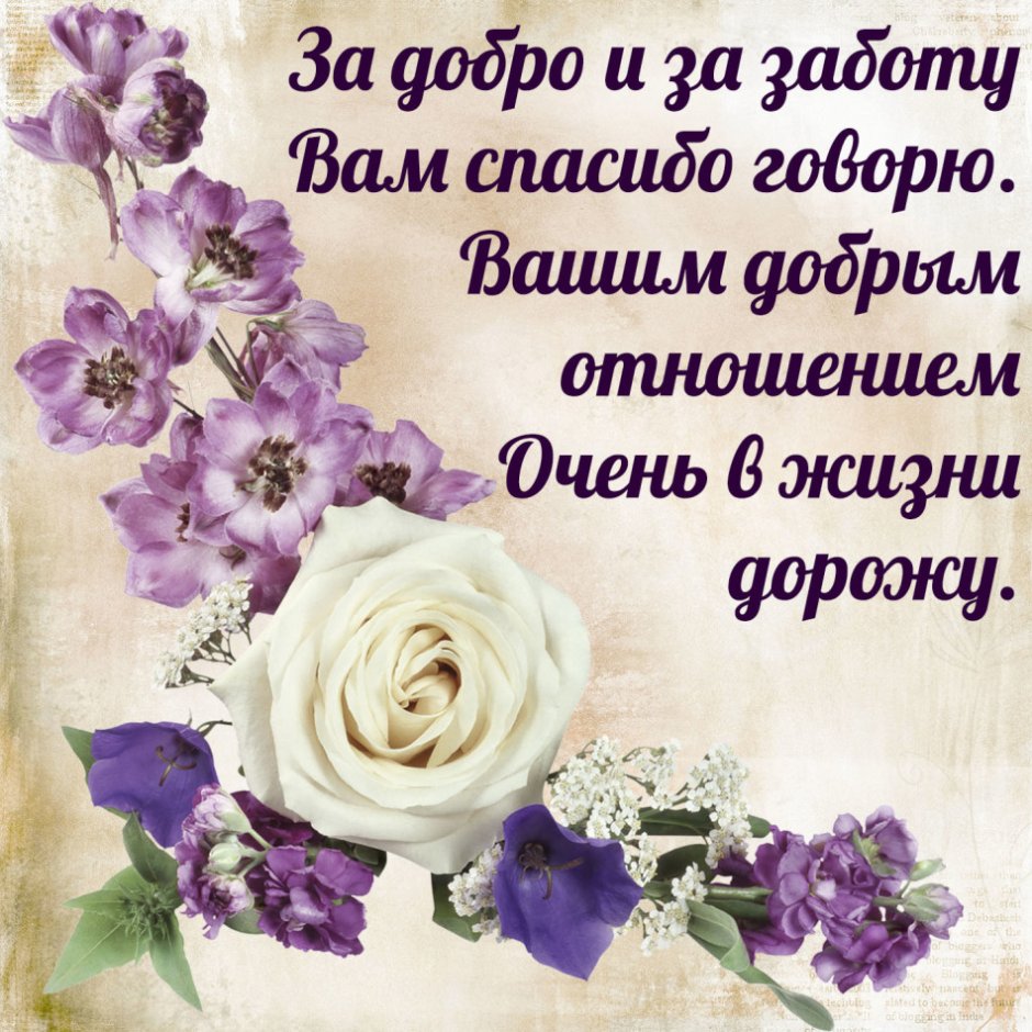 С днем рождения Соня поздравления