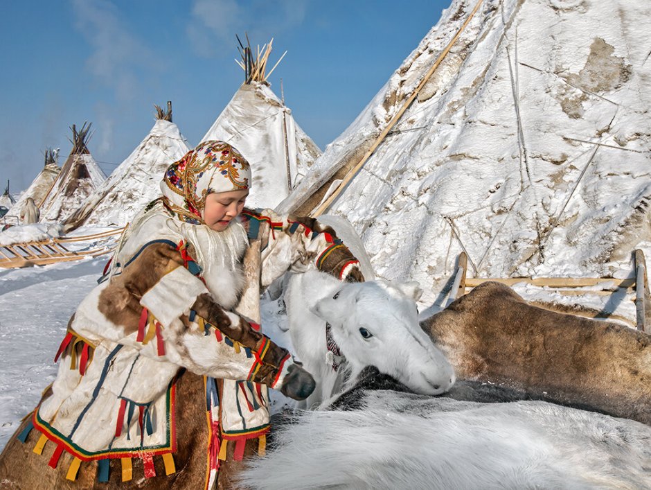 Природа народов севера