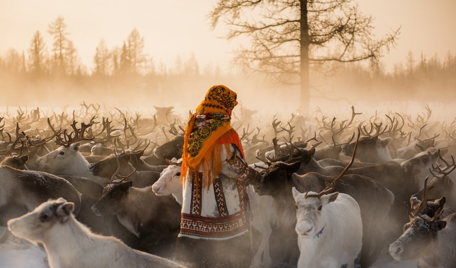 Владимир Кушнарев фотограф