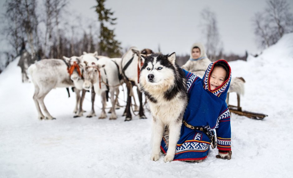 Собака у ненцев Ямала
