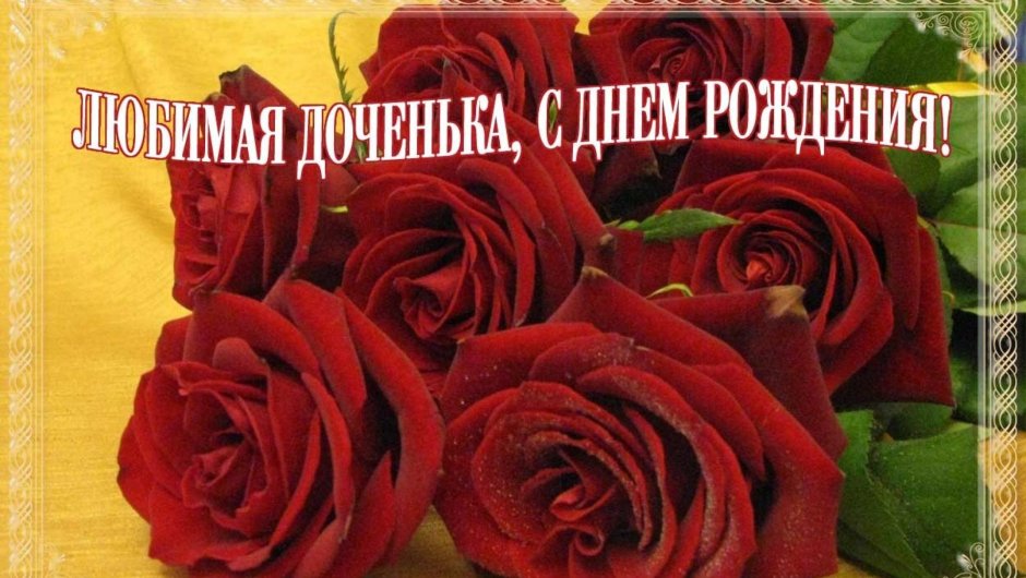 Нежные розы