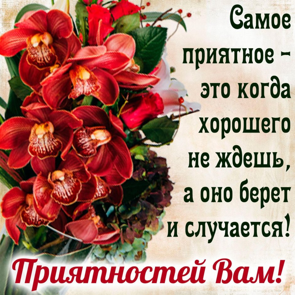 Поздравления с днём рождения девушке