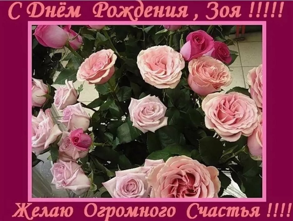 С днём рождения Зоя