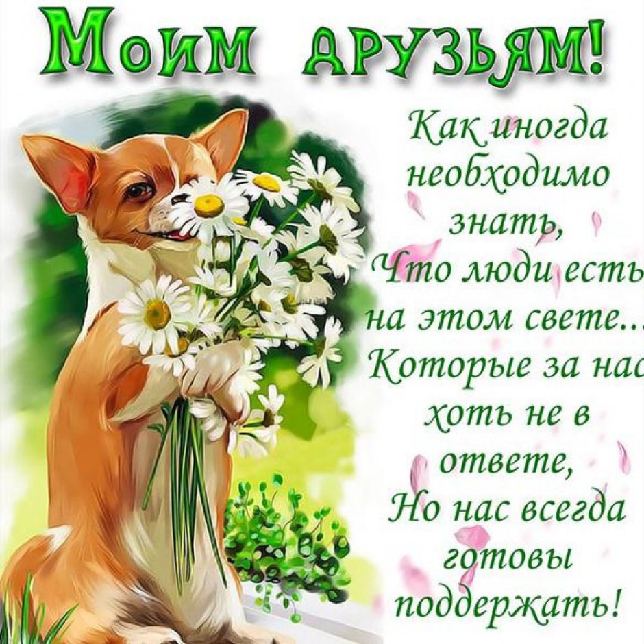 Поздравление для кодрузец