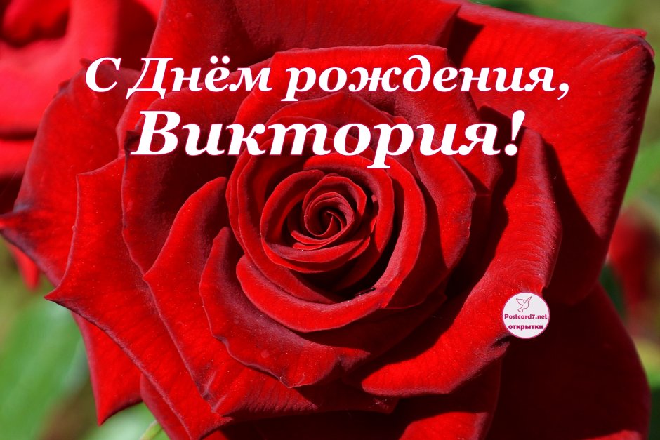 Поздравления с днём рождения Виктории
