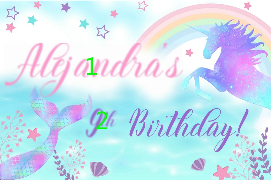9th Birthday backdrop