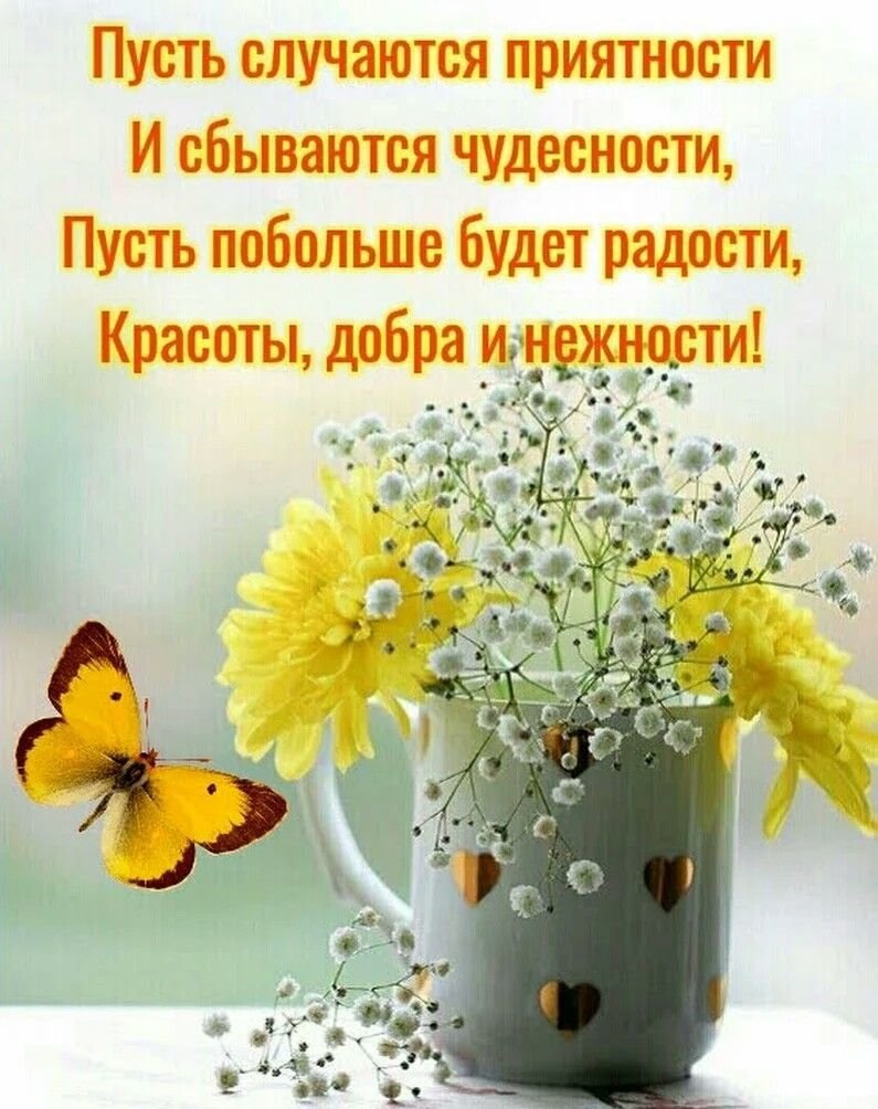 Поздравления с хорошим днем в картинках