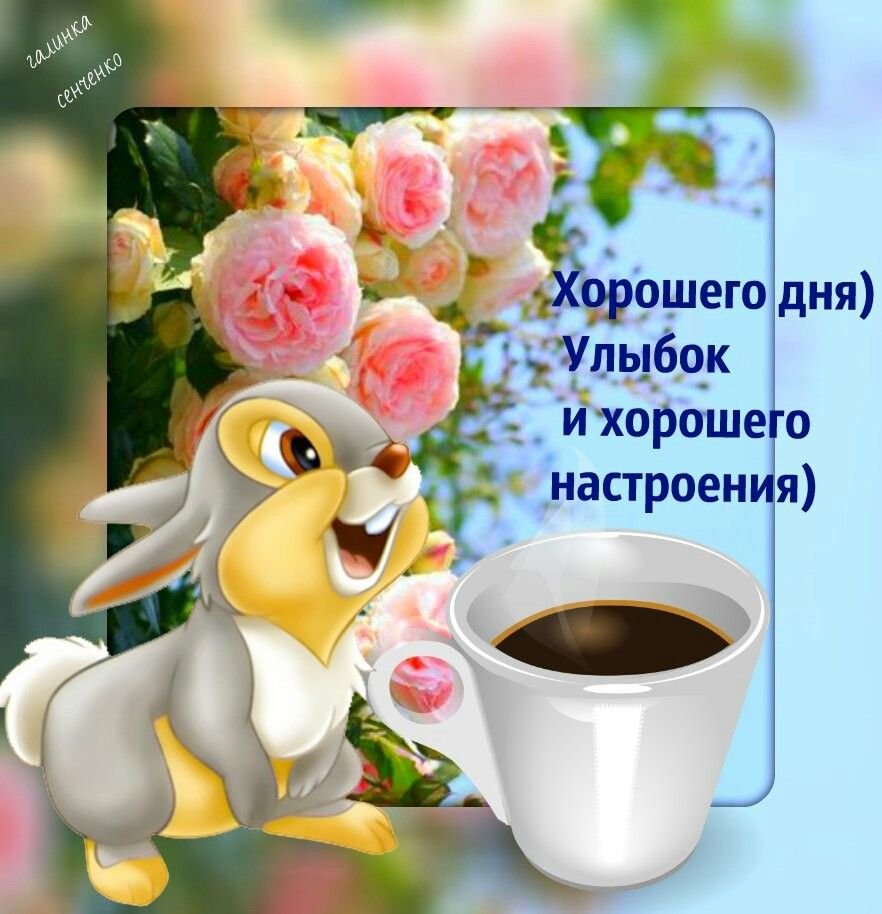 Хорошего дня и настроения