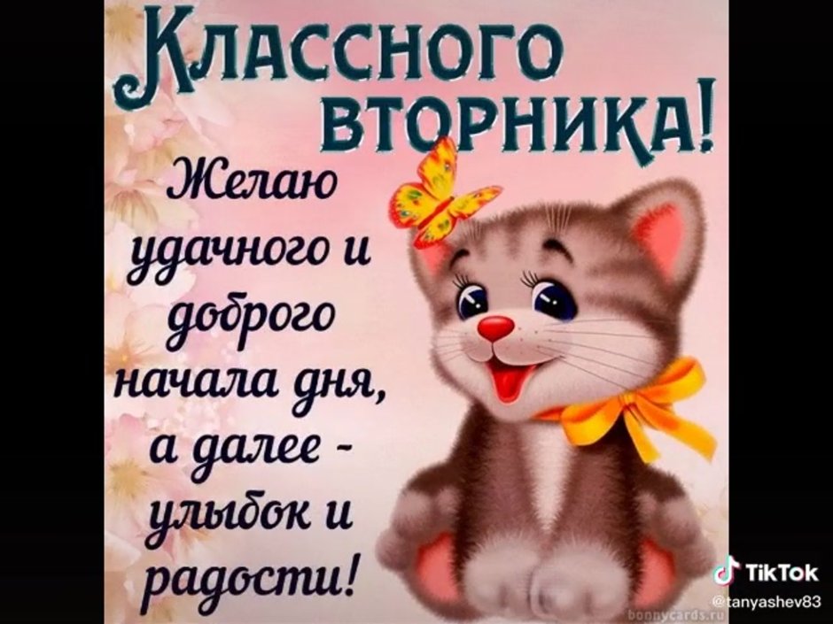 Поздравления со вторником прикольные