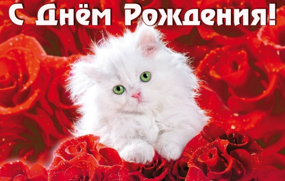 С днём рождения сестра