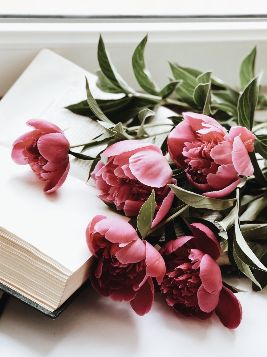 Цветы в книжке