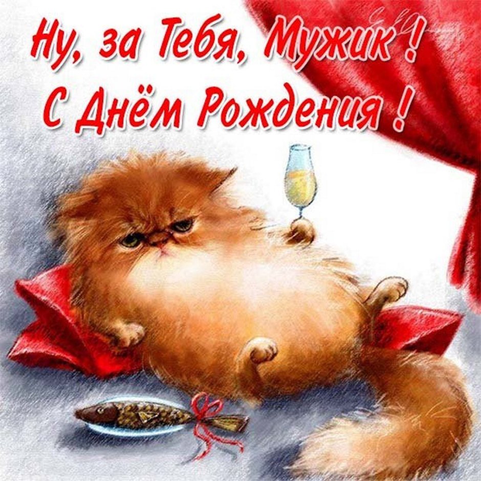 С днем рождения кот