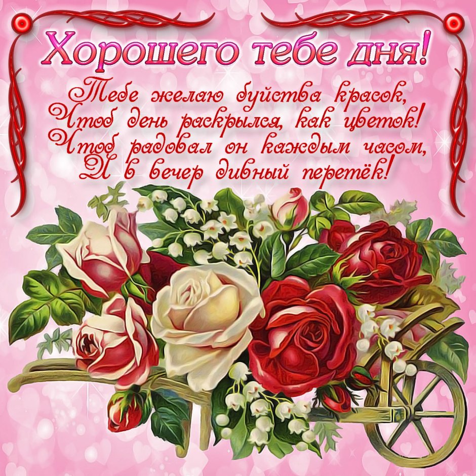 Цветы картинки красивые букеты