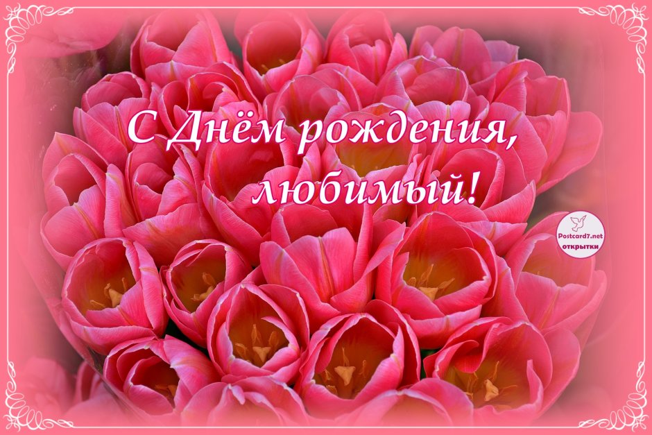 Света с днём рождения