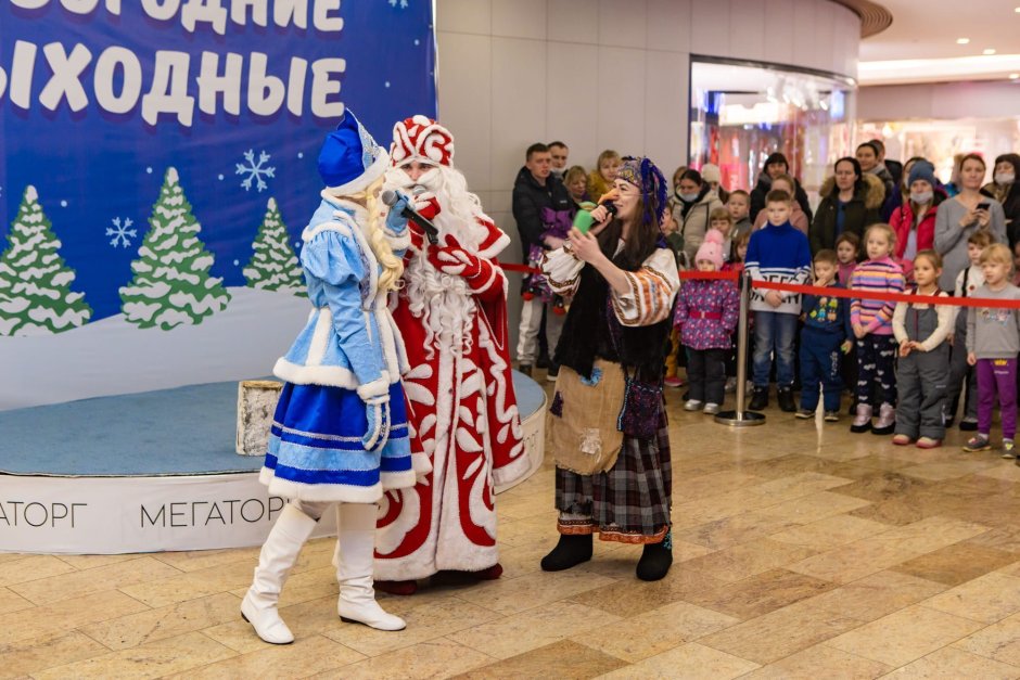 Новогодний кот