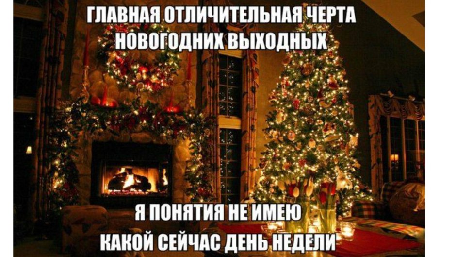 Новогодние каникулы