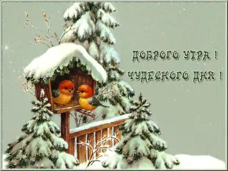 Новогодний кот