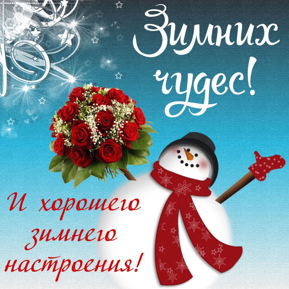 Друзья веселятся зимой