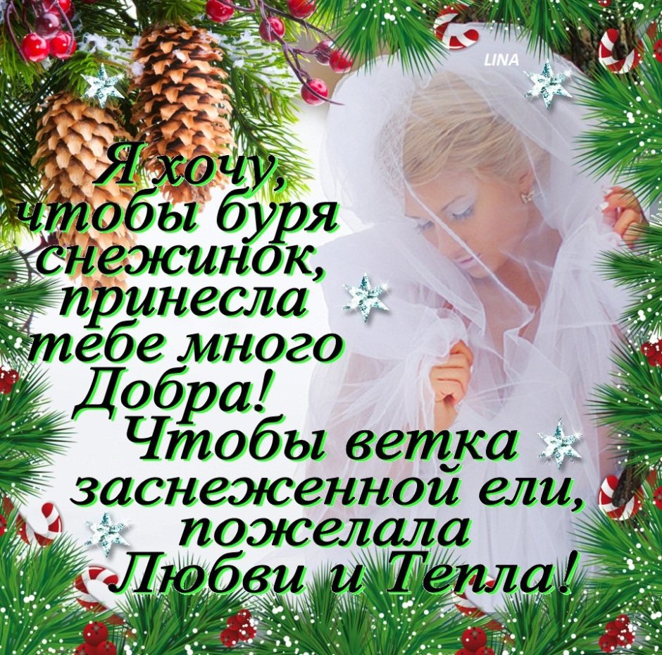 С Рождеством Христовым сочельник