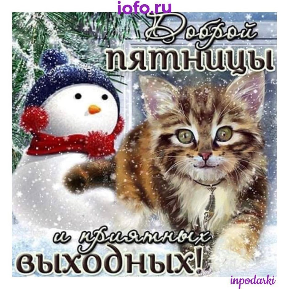 Отличных зимних выходных