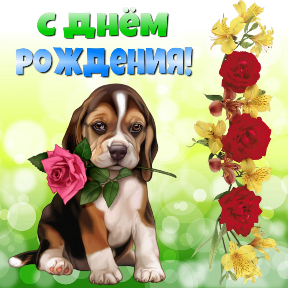 Открытки счастья вам
