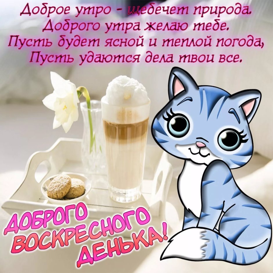 Пожелания доброго дня прикольные