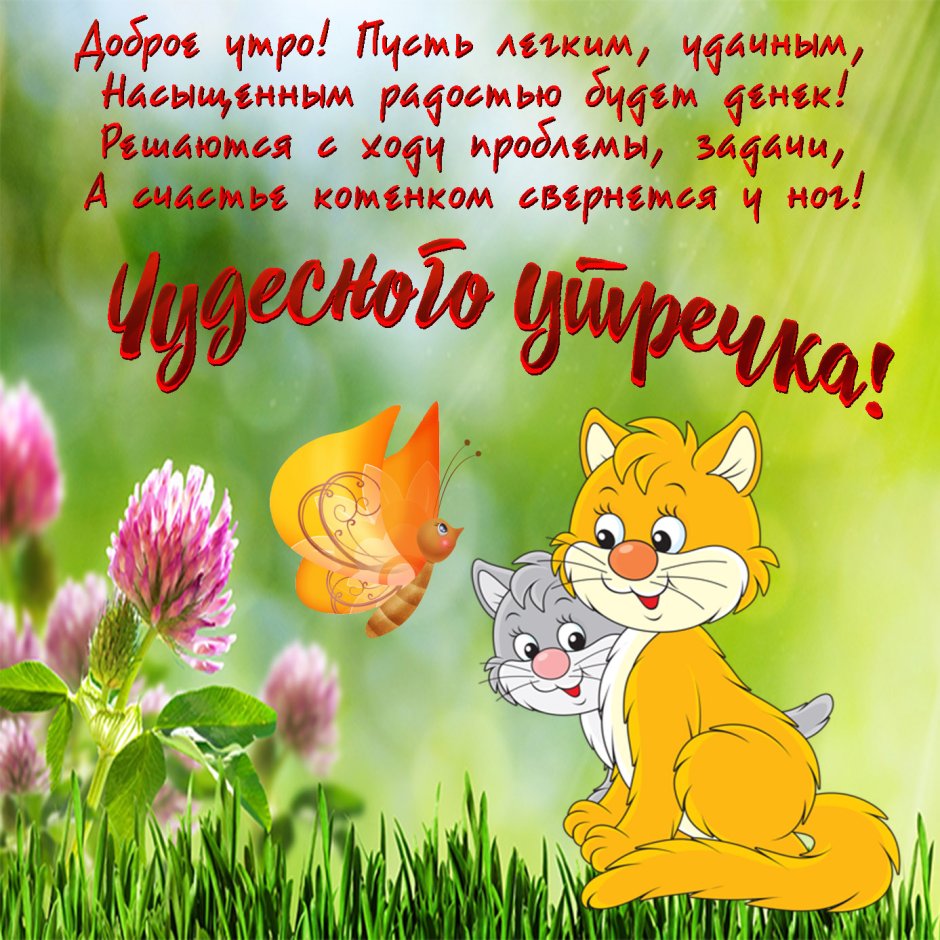 Пожелания доброго утра прикольные
