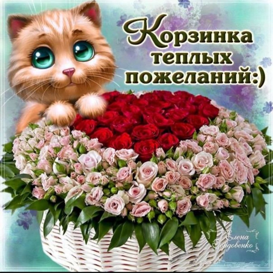 Красивые поздравления с днем рождения
