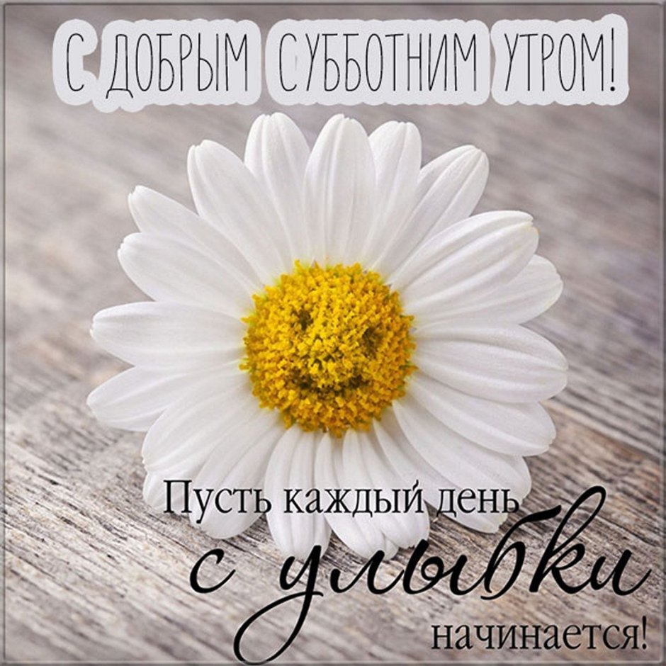 Доброе субботнее утро