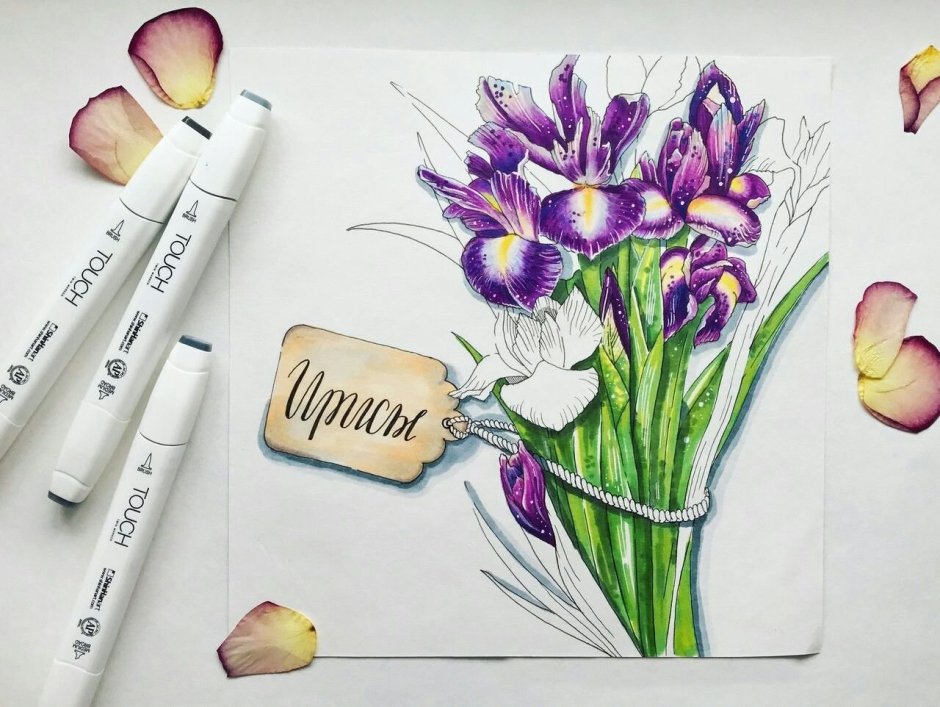 Скетчоткрыика маркеры