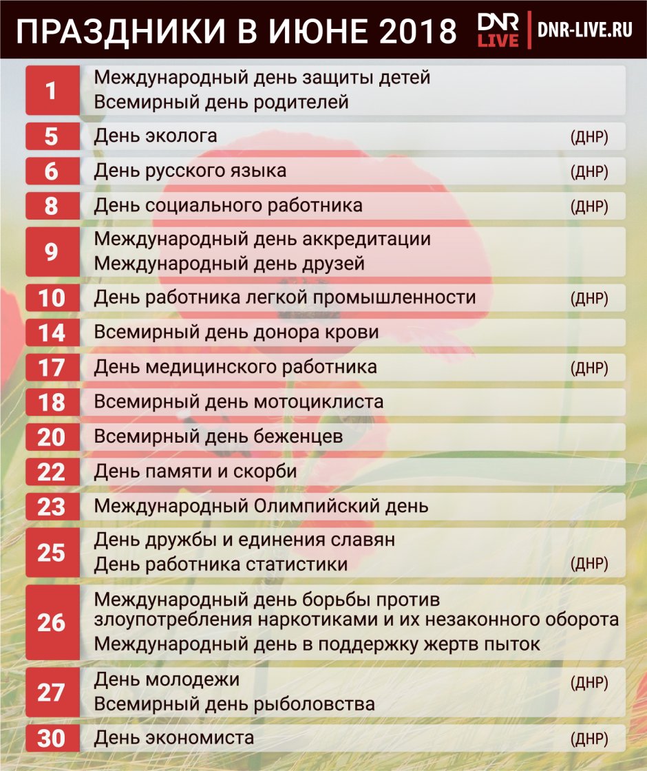 Праздник тет во Вьетнаме