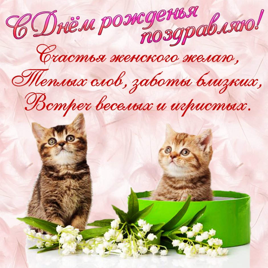 Поздравления с днём рождения с котиками