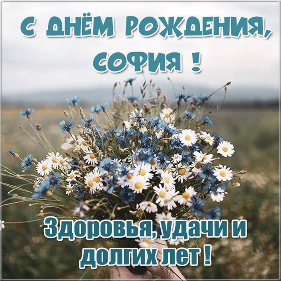 Поздравления с днём рождения с именем Аня