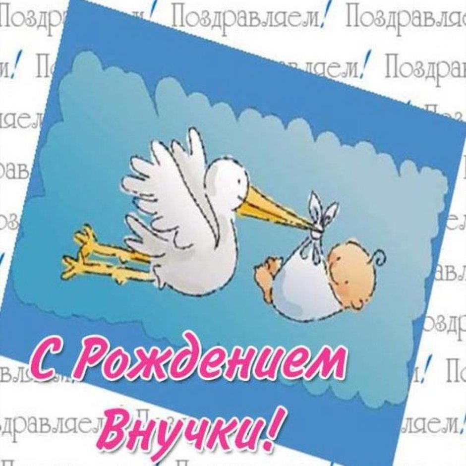 С рождением сыночка Аист