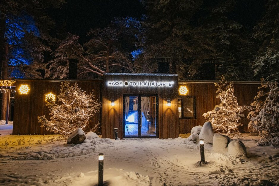 Новый год в загородном отеле