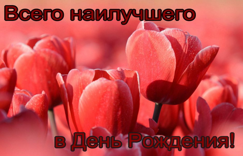 С днём рождения племяшка