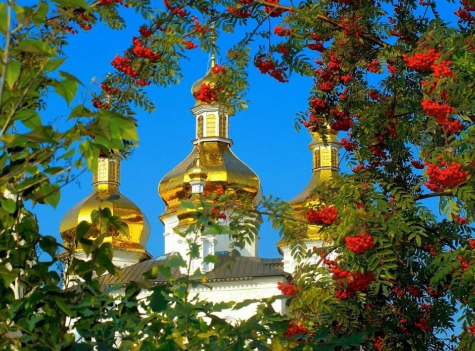 Купола церкви и природа