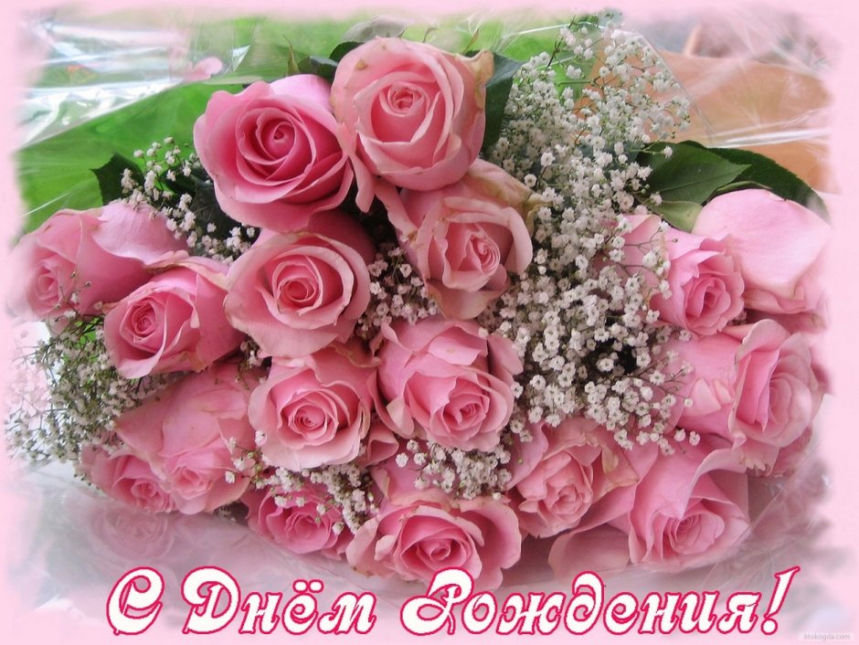 Картинки с днем рождения живые