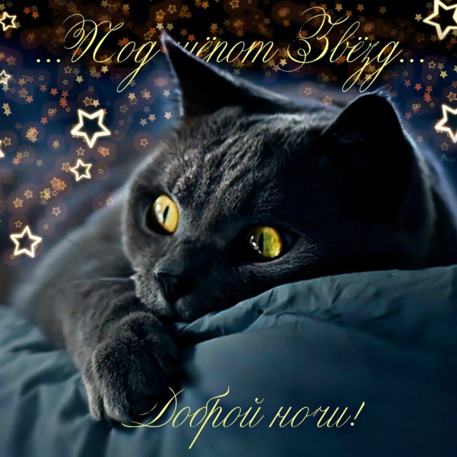 Добрых сновидений