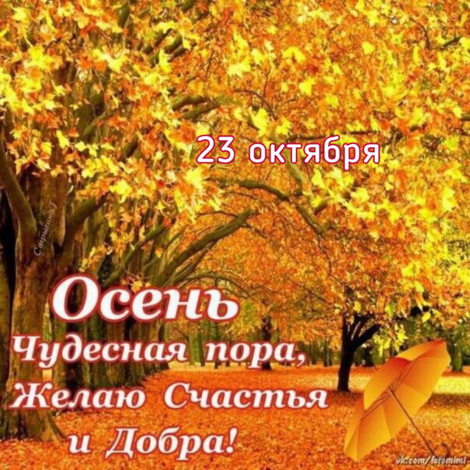 Доброго теплого осеннего дня