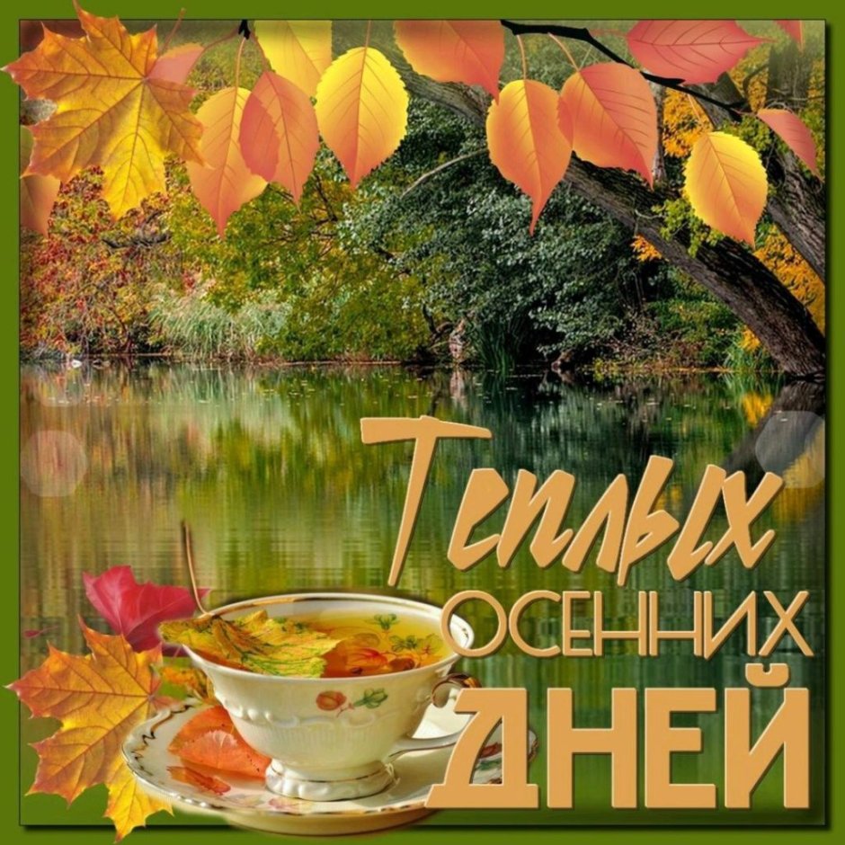Солнечный осенний день