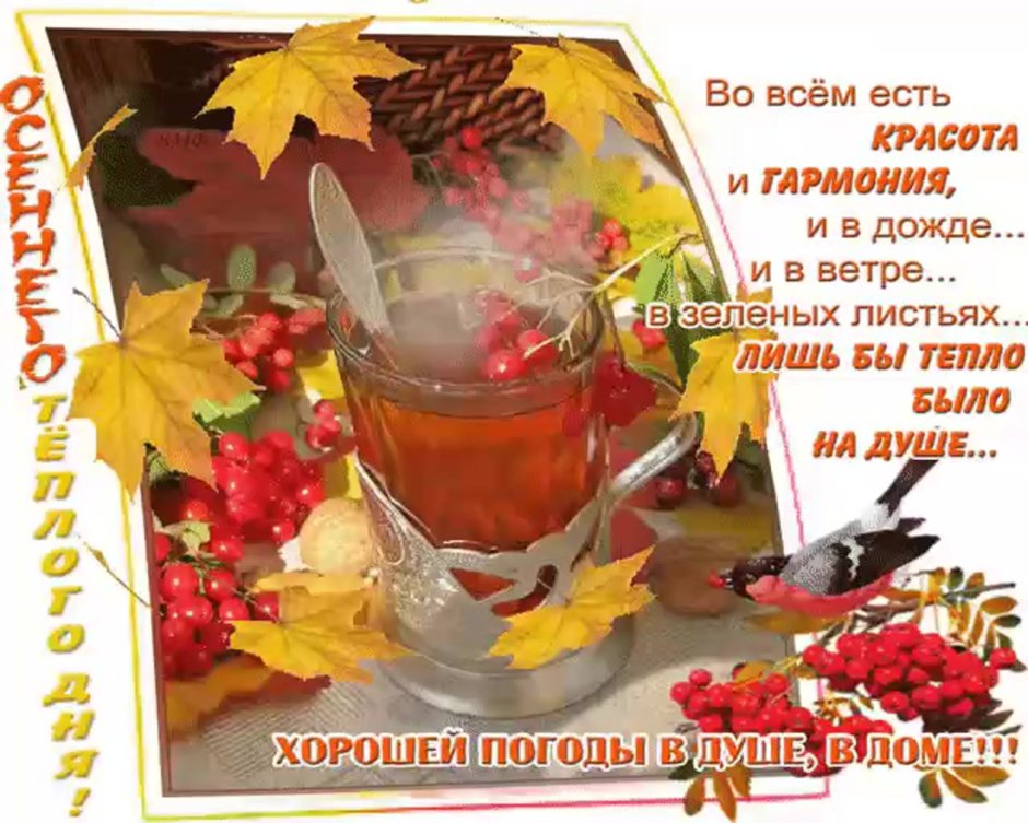 Открытки хорошего осеннего утра