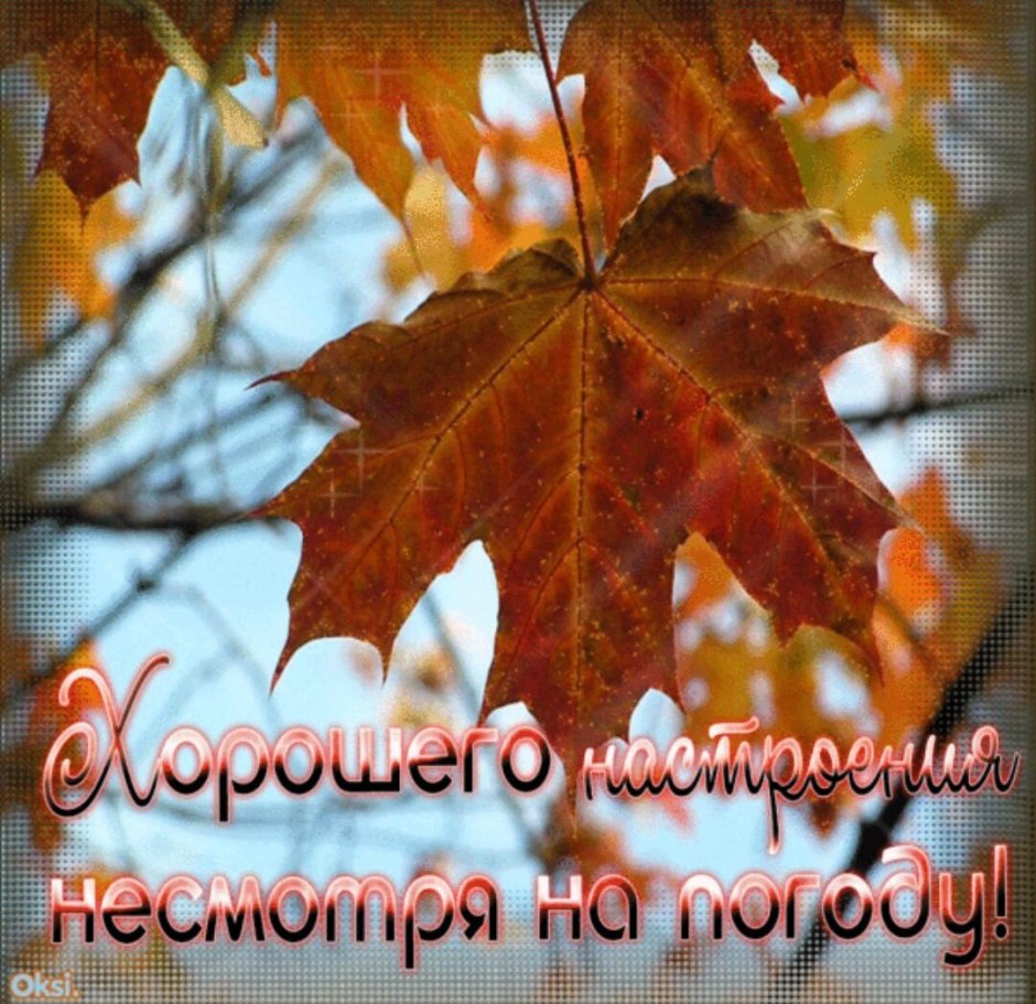 Сдобрым осеним утром субботы