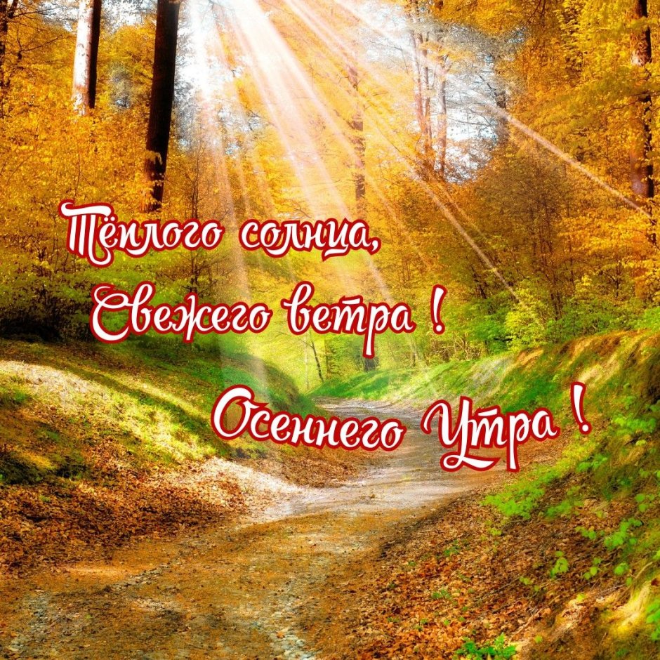 Открытки осень