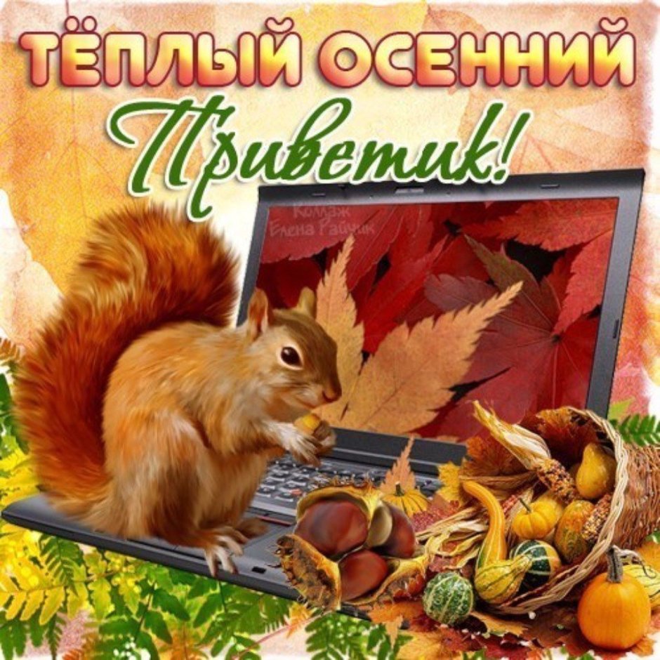 С добрым осенним утром