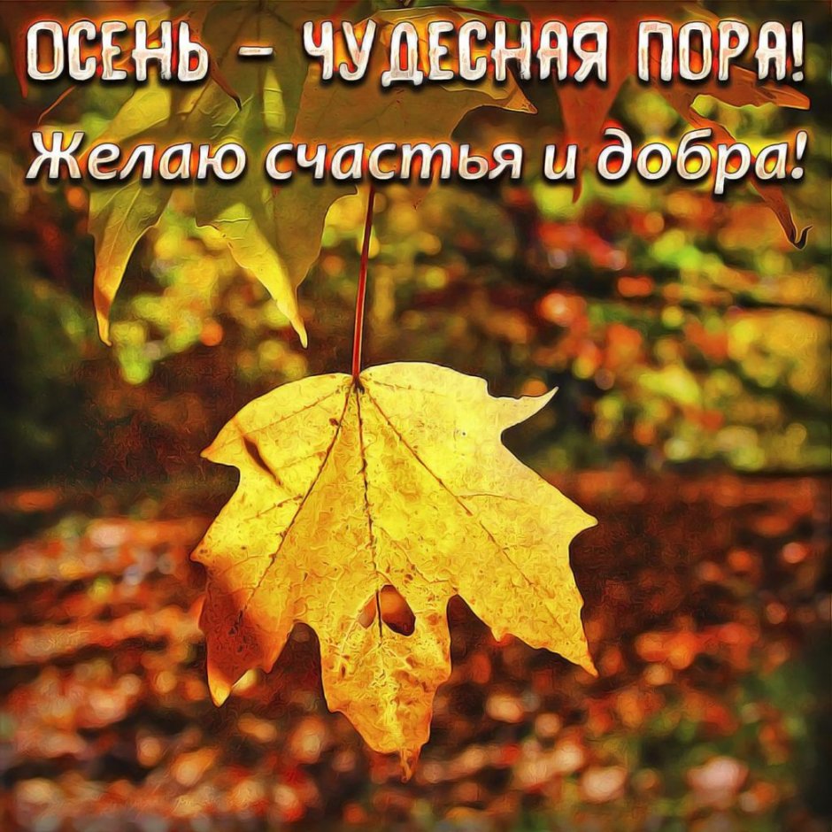 Доброго осеннего денечка