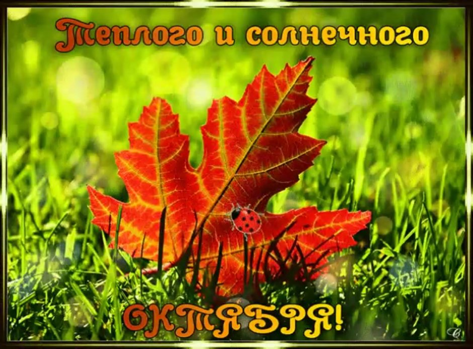 С днем птиц поздравления