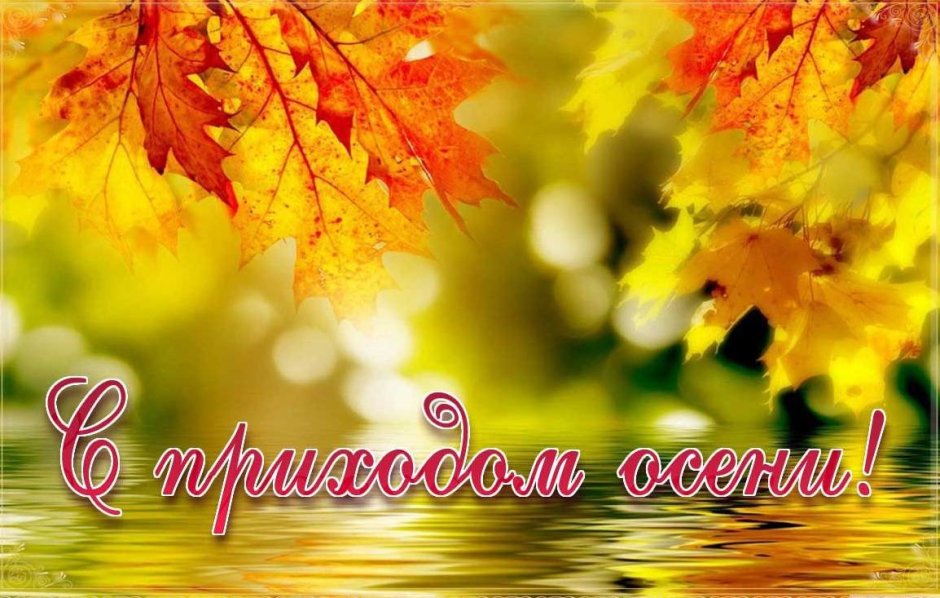 Добрый день осень