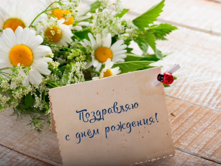 Поздравления с днём рождения